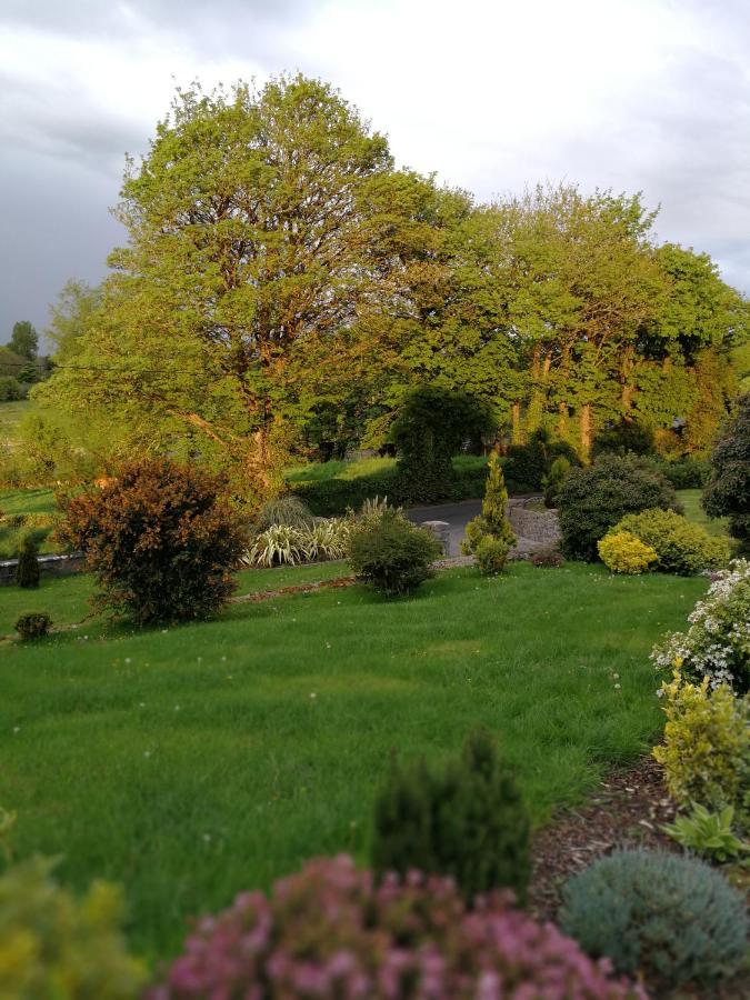 Tower View Lodge Ennis Bagian luar foto